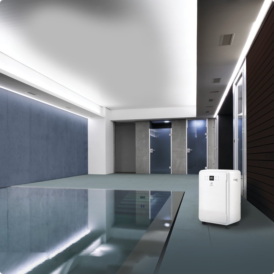 Осушитель воздуха Electrolux EDH-65L + метеостанция RITMIX CAT-041