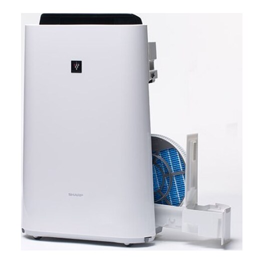 Климатический комплекс Sharp KC-D41RW
