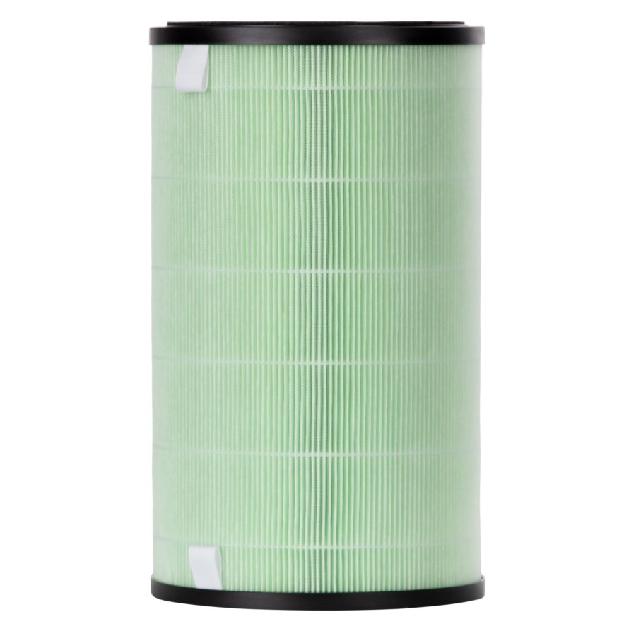 Фильтр Electrolux FAP-2075 smog active