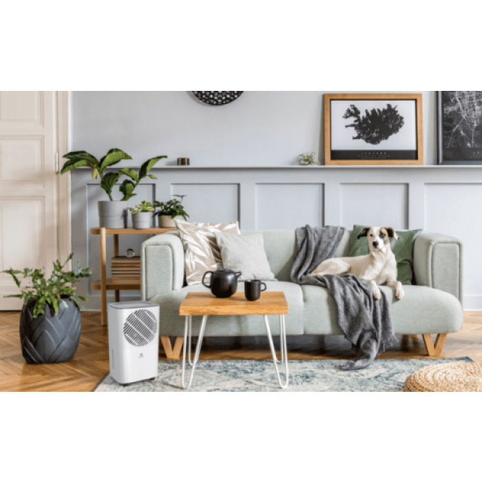 Осушитель воздуха Royal Clima RD-CR10-E