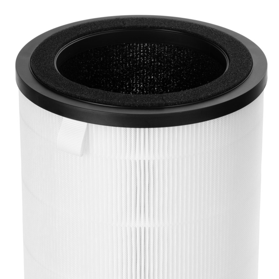 Фильтр Electrolux FAP-2050 anti dust