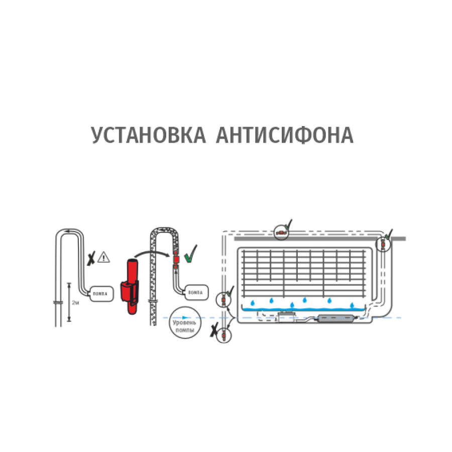 Антисифон D6, RexFaber