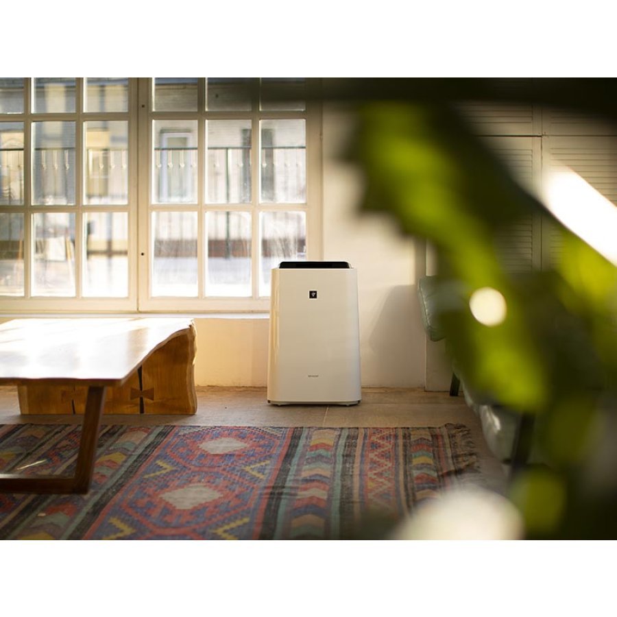 Климатический комплекс Sharp KC-D61RW
