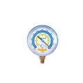 Вакуумметр DSZH WK-18VG (80 мм)